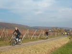 sortie B&R Rosheim