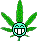 Weed :obscene-smokingweed:
