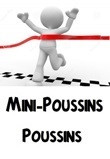 Mini Poussins Poussins