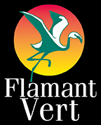 Flamant vert